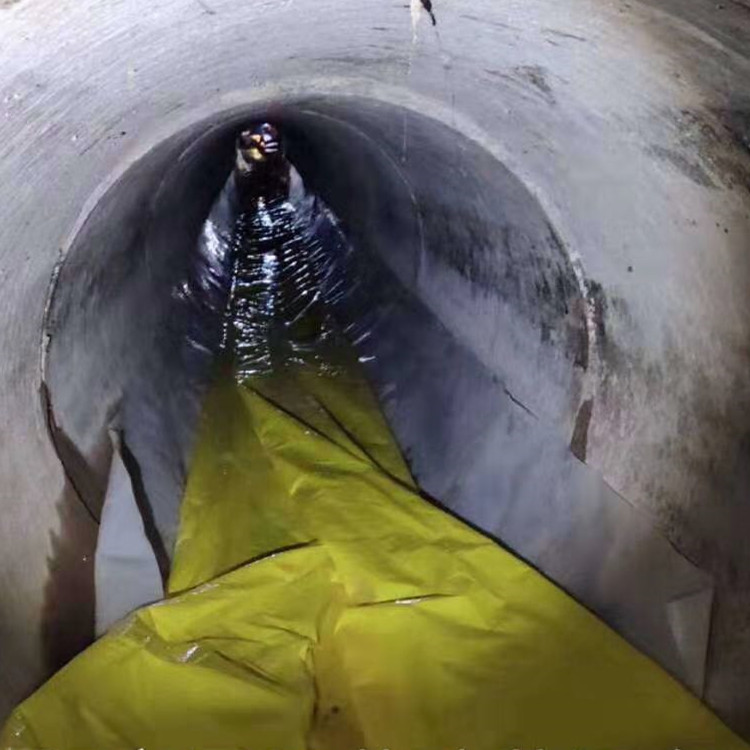 禄劝管道光固化修复